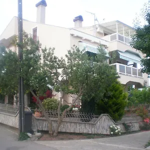 https://apartments-room-diana.hotelinzadar.com